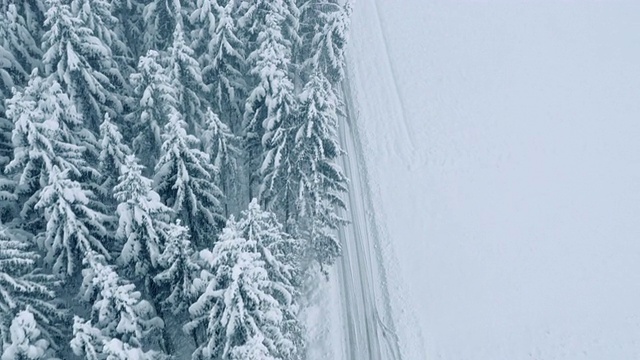空中森林公路上覆盖着一层雪视频素材