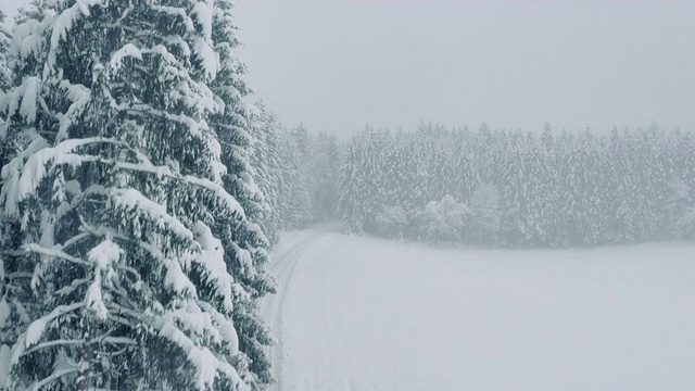 空中飞雪覆盖着树木，环绕着一条白色的森林道路视频素材