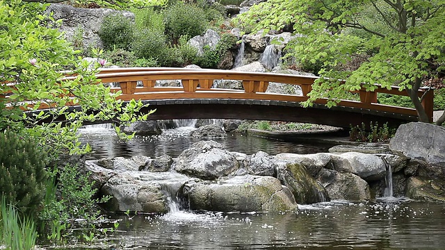 带桥的日式花园视频素材