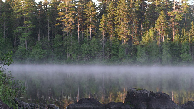 MS拍摄的清晨雾与荒野长池塘/缅因州，美国视频下载