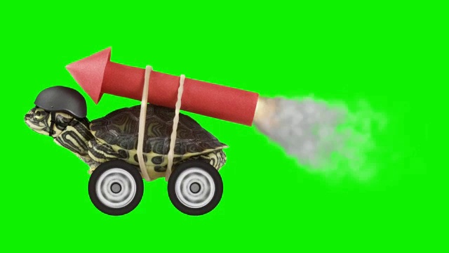色度键上有火箭的乌龟视频素材