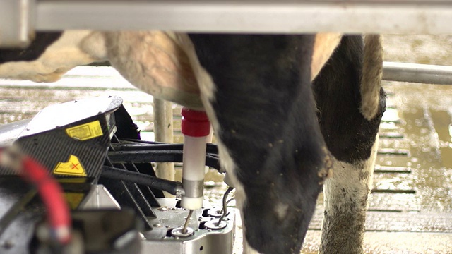 自动挤奶机和扫描仪-多莉运动视频素材