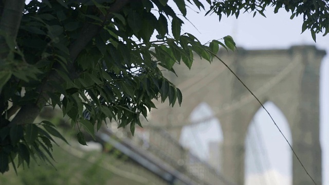 布鲁克林桥架焦点视频素材