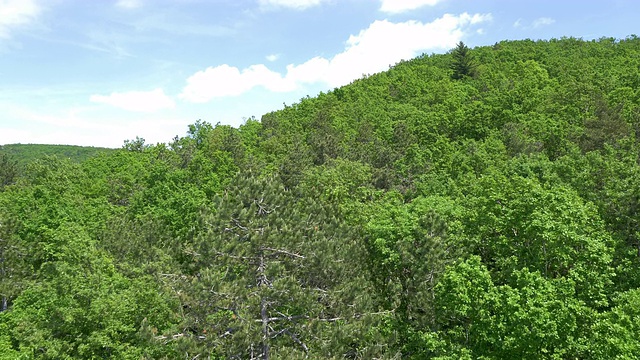 空中的绿色和茂密的森林视频素材
