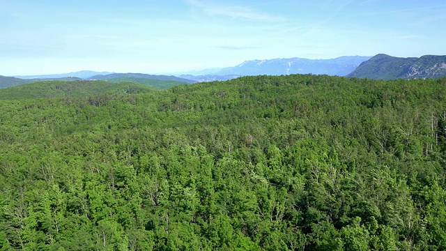 从空中俯瞰斯洛文尼亚广袤的森林视频素材