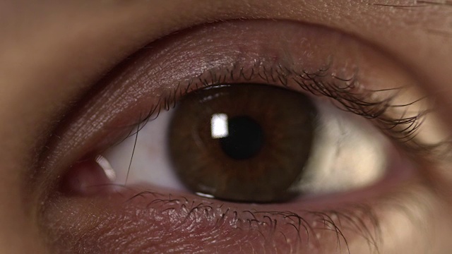 4K -眼睛与棕色颜色视频素材