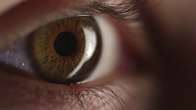 4K -棕色人眼视频素材