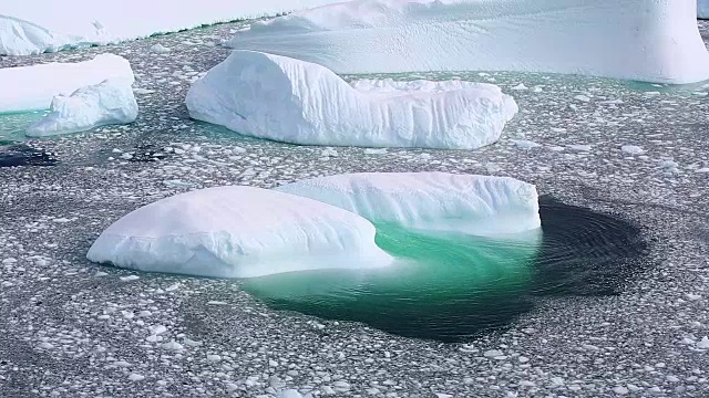 彼得曼岛，冰山在小波浪中缓缓移动视频素材