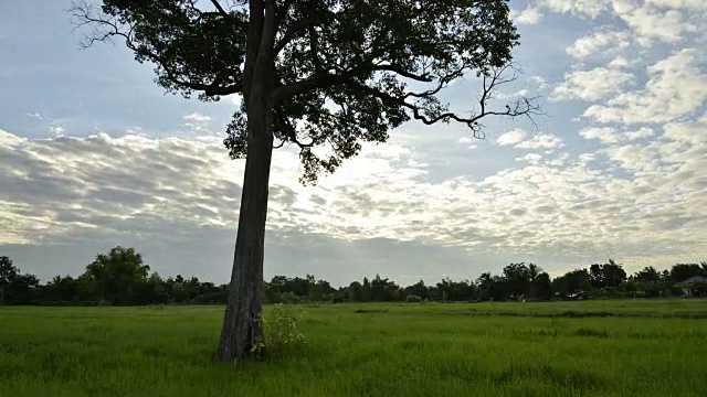 稻田和多云景观视频素材