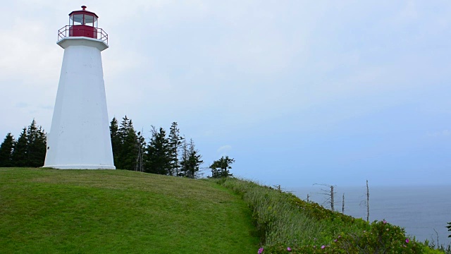 加拿大乔治角新斯科舍省安提戈尼什乔治角灯塔，岸边的灯塔，1861年乔治角灯塔视频下载