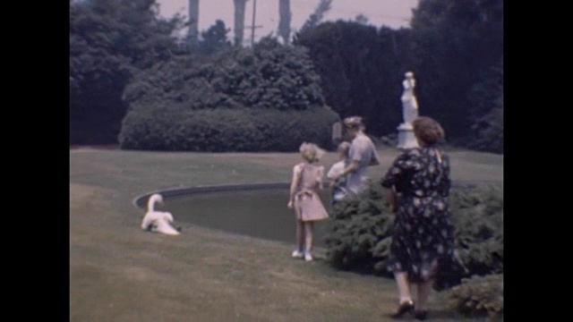 1957年，孩子们在公园里和天鹅玩耍视频下载
