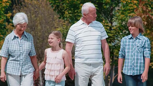 爷爷奶奶和孙辈们在公园里散步视频素材