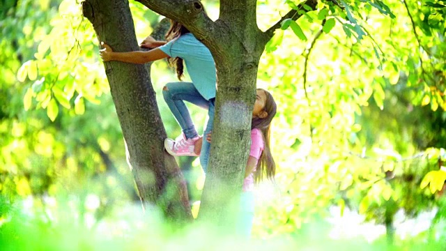 孩子们在爬树。视频素材