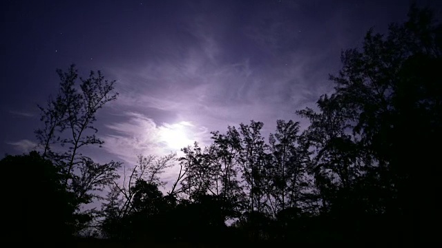 在一轮满月中，树枝映衬着夜空视频下载