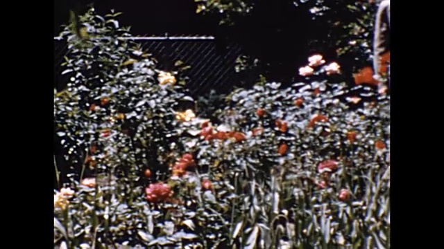 1957年，父亲和女儿在花园里视频下载