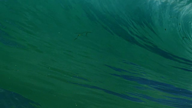 完美详细美丽的波POV波浪打破相机在加利福尼亚夏天的阳光浅沙滩上。慢动作在红龙上以300FPS的速度拍摄。视频素材