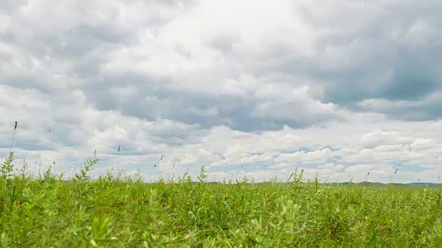 云在草原上移动视频素材