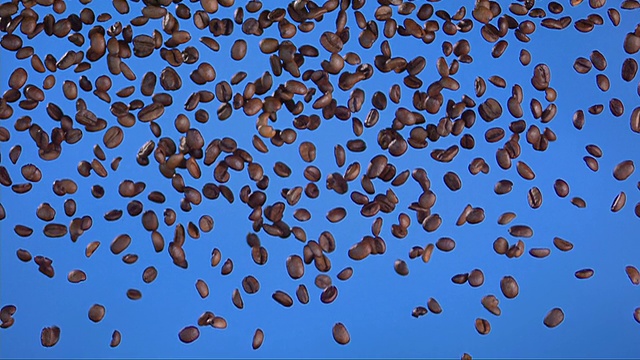 蓝色背景下的咖啡豆(超级慢镜头)视频素材