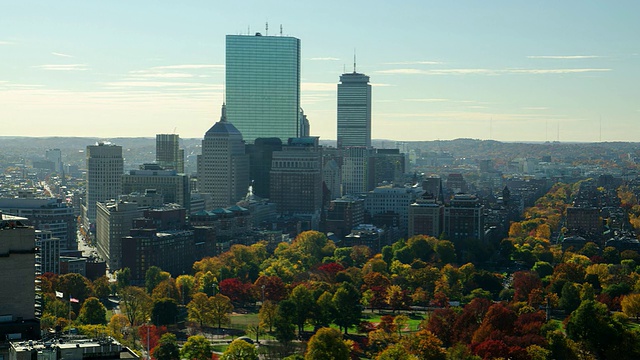 T/L WA HA波士顿天际线在秋天视频素材