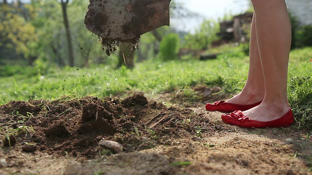 年轻女子穿着红色舞鞋挖花或菜地视频素材