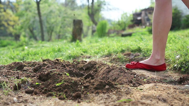年轻女子穿着红色舞鞋挖花或菜地视频素材