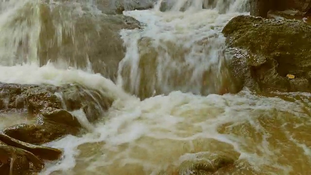 在雨季河流森林视频素材