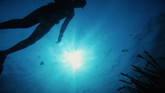 自由的潜水员在蓝色的海洋中游泳视频素材