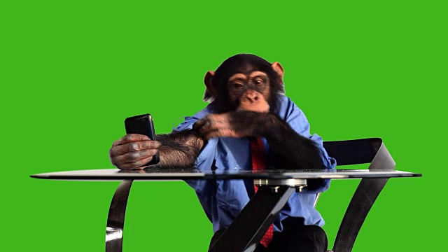 绿屏猴子智能手机视频下载