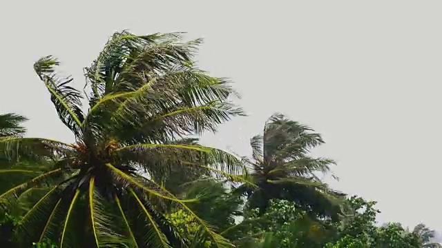 飓风——风暴视频下载