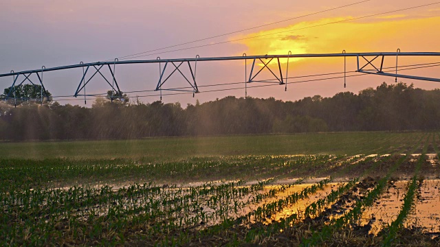 日落时的农业灌溉系统视频素材