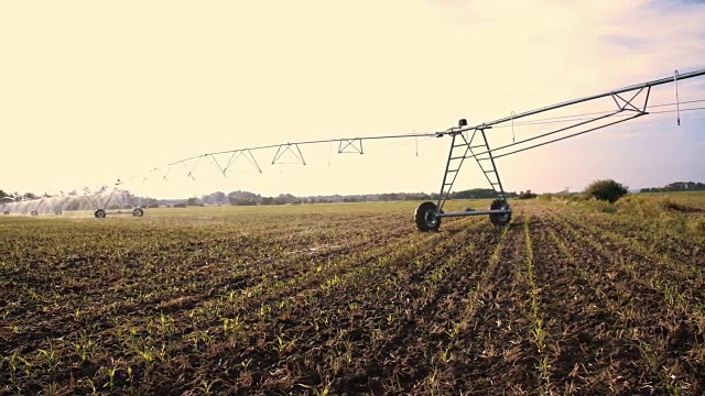 灌溉玉米田视频素材