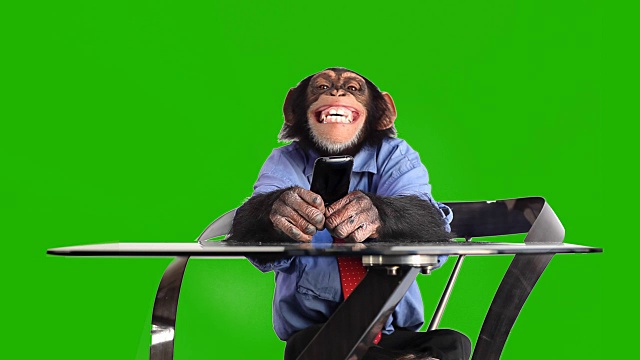 绿屏猴子智能手机视频下载