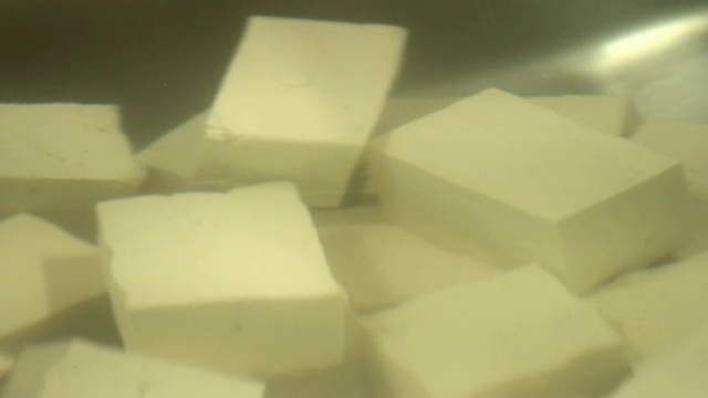 豆腐放在一个装满水的水箱里视频下载