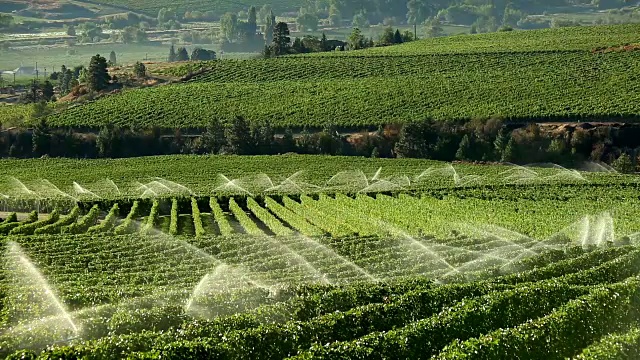 奥肯那根葡萄园的农业灌溉喷灌机视频下载