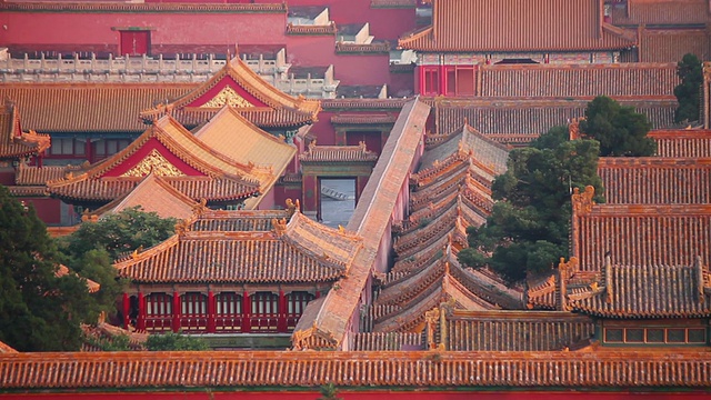 从景山公园/中国北京看紫禁城视频素材