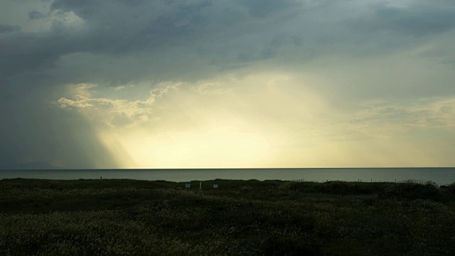 日本潘帕斯草，群居，广阔的海洋，阳光从云层缝隙视频素材