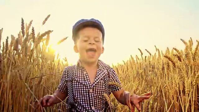 可爱的小男孩在麦穗间奔跑视频下载