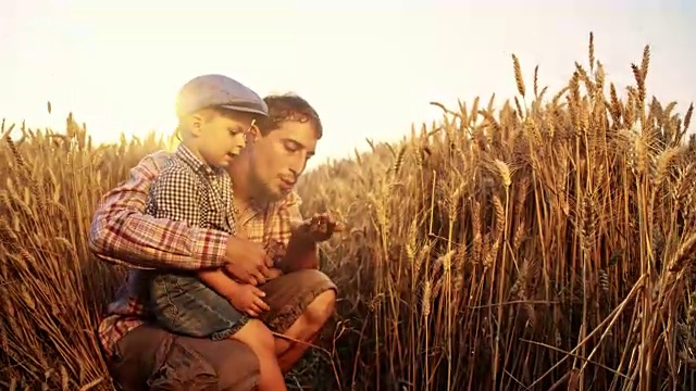 父亲和儿子在吃麦粒视频素材