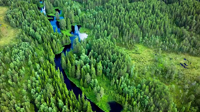 航拍的北方森林与蜿蜒的河流视频素材