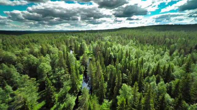 航拍的北方森林与蜿蜒的河流视频下载