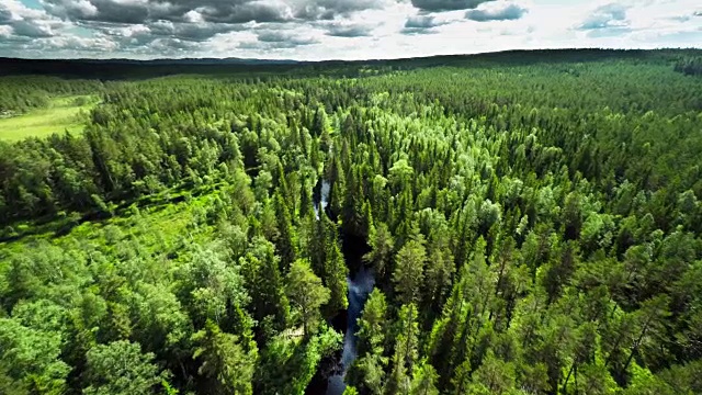 航拍瑞典北方针叶林视频素材