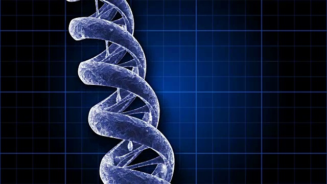 蓝色网格上的DNA链(环)。视频下载