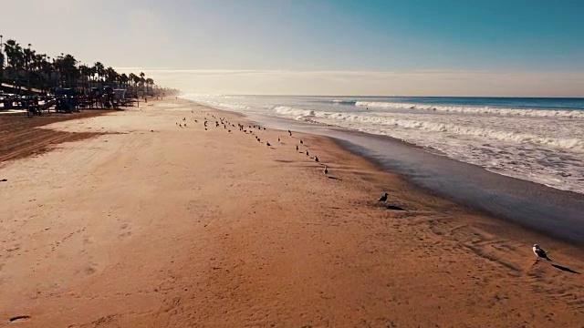 空中跟踪拍摄美丽的日出闪闪发光的海洋和沙子，海鸥飞。视频素材