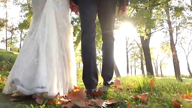 新婚夫妇在秋天漫步视频下载