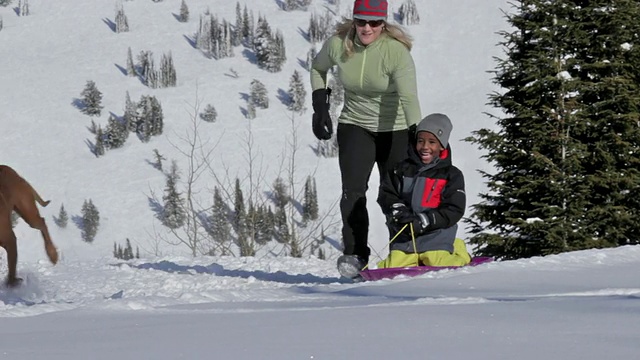 在一个阳光明媚的冬日里，一对母子拉着雪橇视频素材
