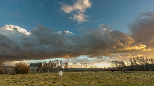 时间流逝的马在牧场在爱达荷农场与云滚动的头顶视频素材