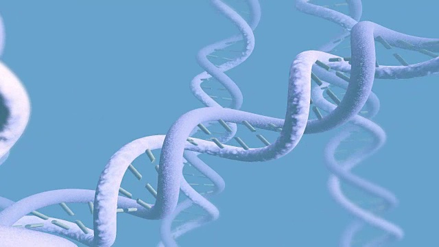DNA螺旋宏动画[006]视频下载