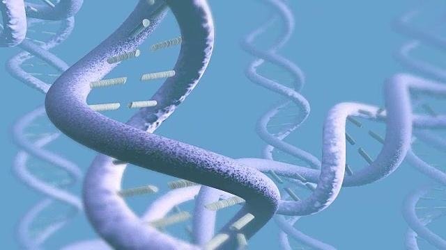 DNA螺旋宏动画[005]视频下载
