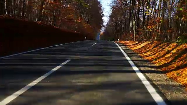 秋林中的路视频素材