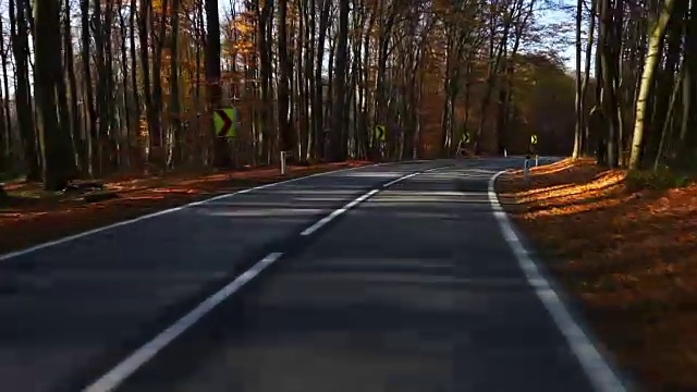 秋林中的路视频素材